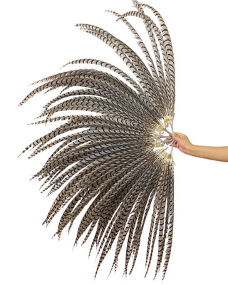 Énorme grand éventail de plumes de faisan argenté naturel