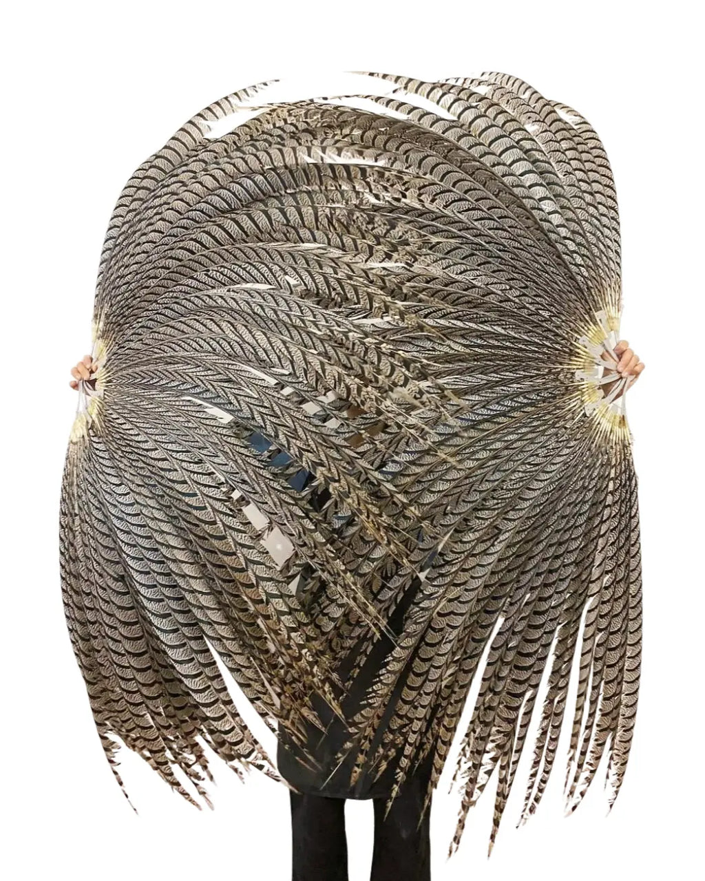 Large Silver Pheasant Tail Feather Fan | Hot Fans – hot fans