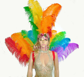 Rainbow Ostrich Feather Open Face Headdress & backpiece Set