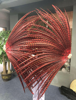 Grand éventail en plumes de faisan rouge 37"x 69"