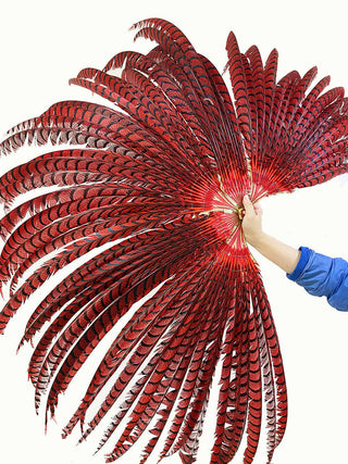 Custom color huge Tall Pheasant Feather Fan 38"x 80"