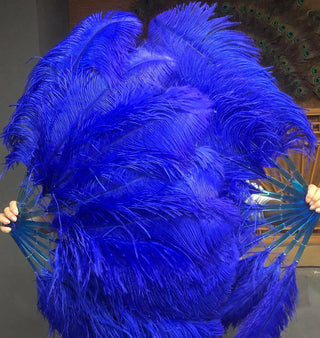A pair Royal blue single  layer Feather fan 24"x 41"