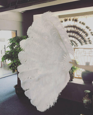 White XL 2 layers Ostrich Feather Fan 34"x 60"